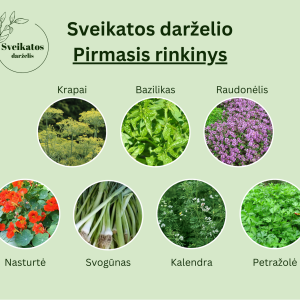 Sveikatos darželio pirmasis rinkinys